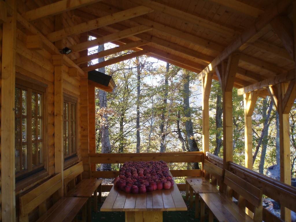 Guest House Tara Canyon Pljevlja Extérieur photo