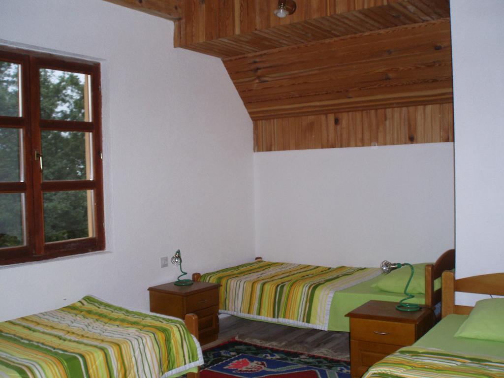 Guest House Tara Canyon Pljevlja Chambre photo