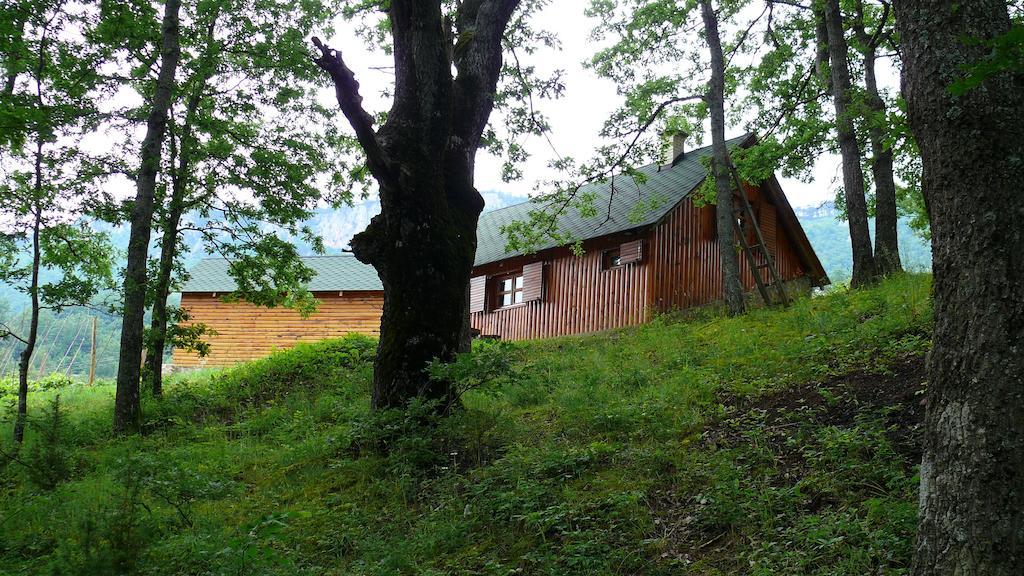 Guest House Tara Canyon Pljevlja Extérieur photo