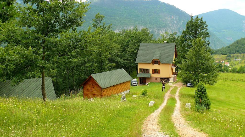 Guest House Tara Canyon Pljevlja Extérieur photo