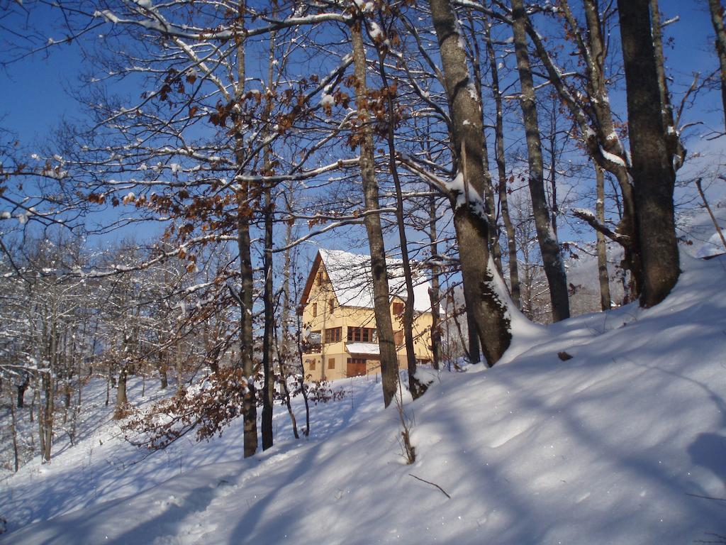 Guest House Tara Canyon Pljevlja Extérieur photo