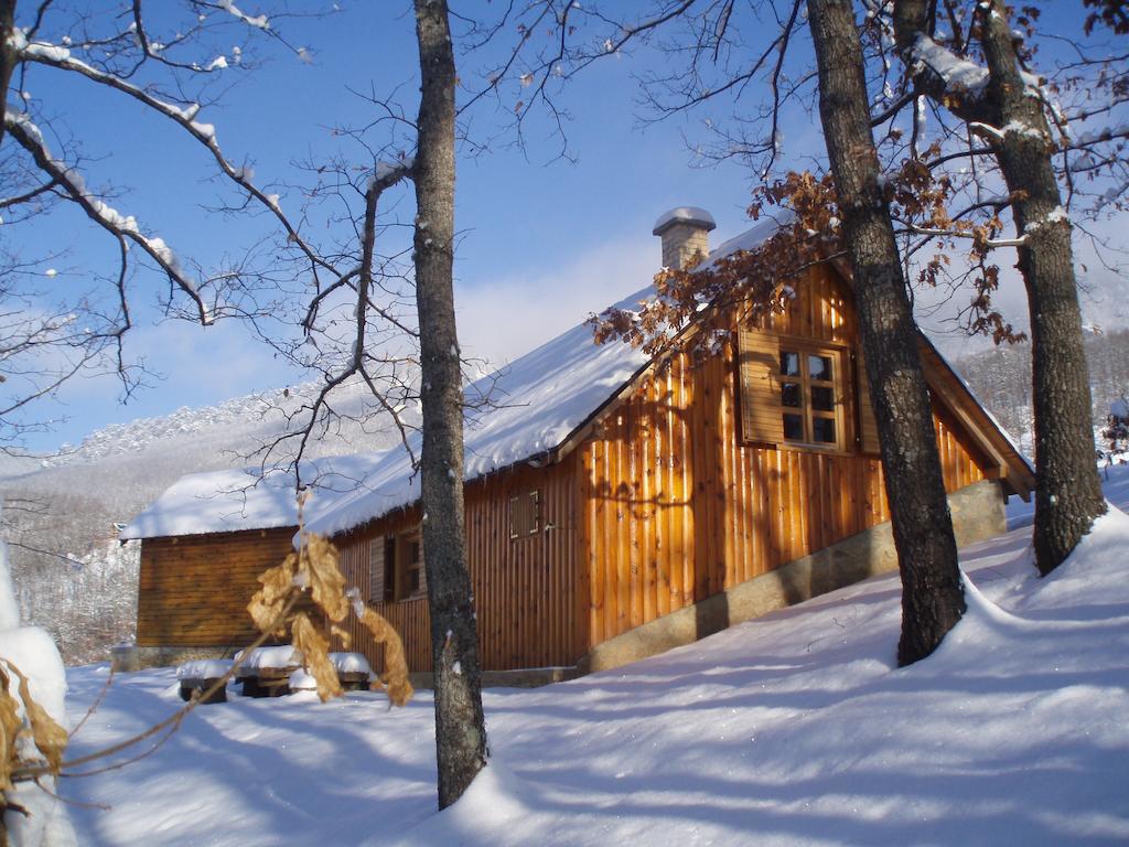 Guest House Tara Canyon Pljevlja Extérieur photo